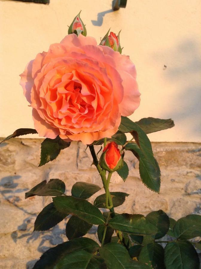 Fiesole In Giardino B&B Exterior foto