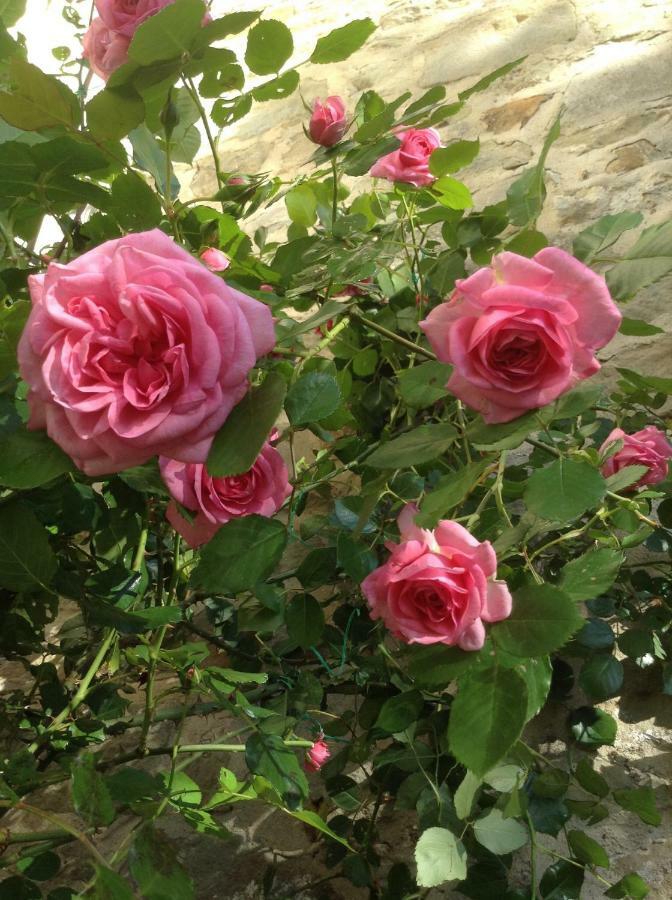 Fiesole In Giardino B&B Exterior foto
